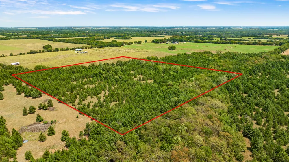 County Road 13600 Paris, TX 75462