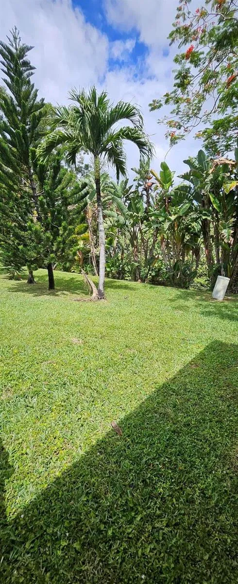 22390 SW 57th Circle E #22390 Boca Raton, FL 33428