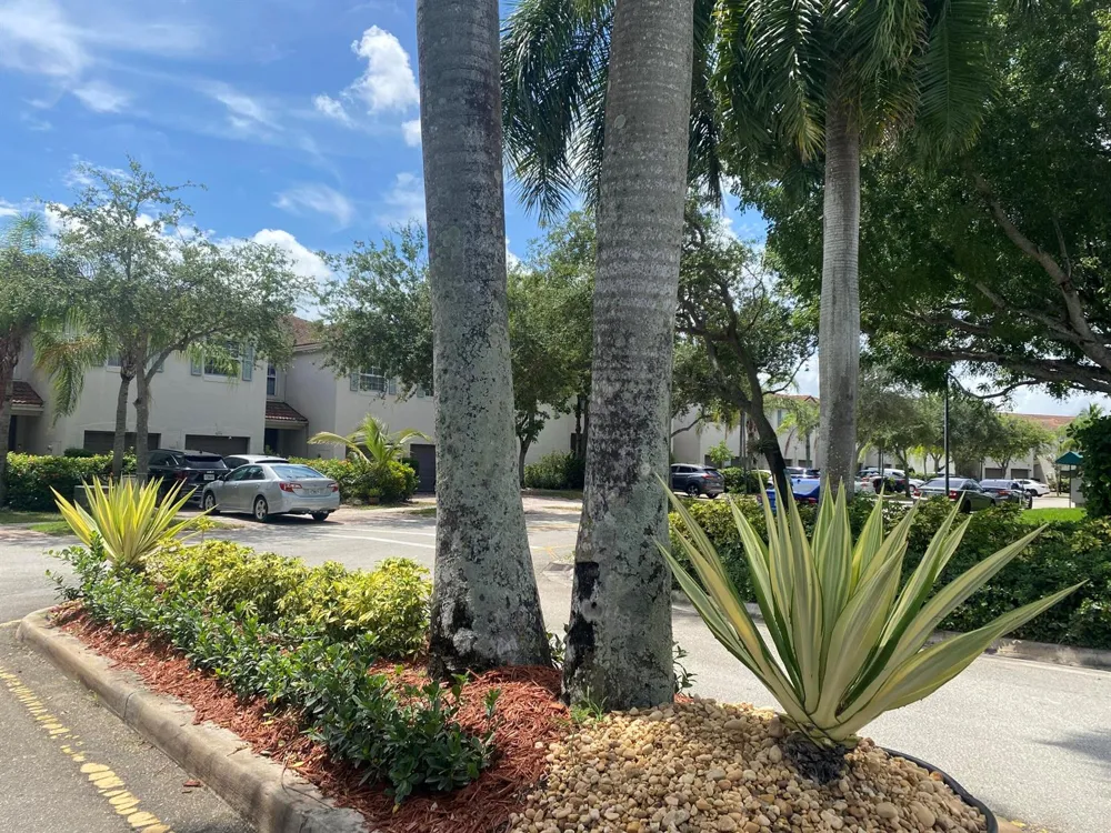8214 Prestige Commons Drive #8214 Tamarac, FL 33321