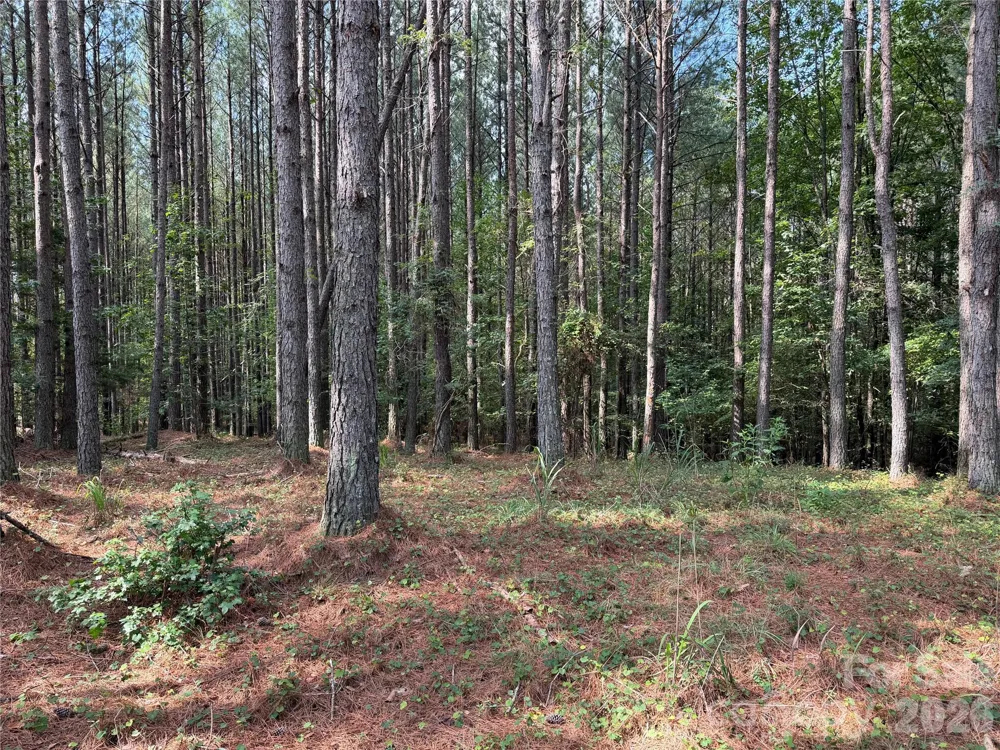 151 Whispering Pines Lane Mooresboro, NC 28114