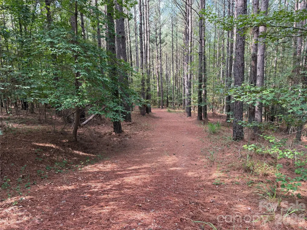 151 Whispering Pines Lane Mooresboro, NC 28114