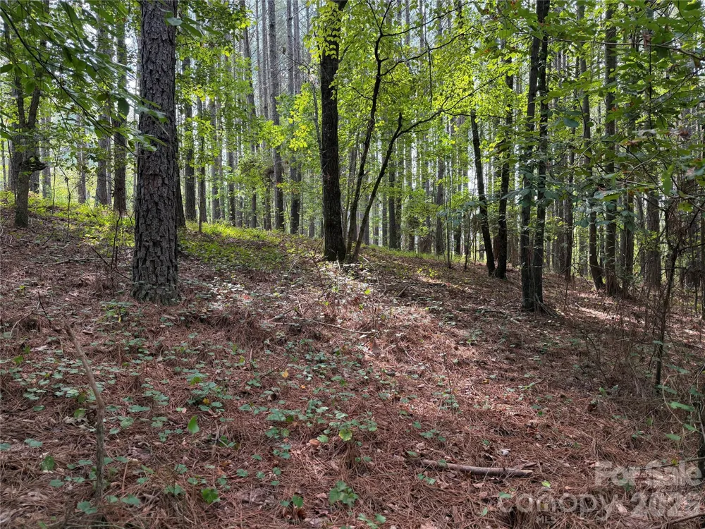 151 Whispering Pines Lane Mooresboro, NC 28114