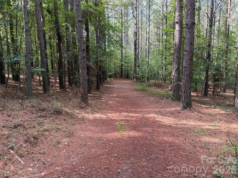 151 Whispering Pines Lane Mooresboro, NC 28114