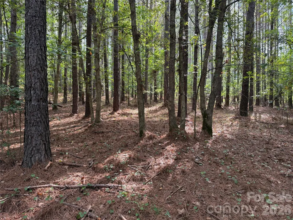 151 Whispering Pines Lane Mooresboro, NC 28114
