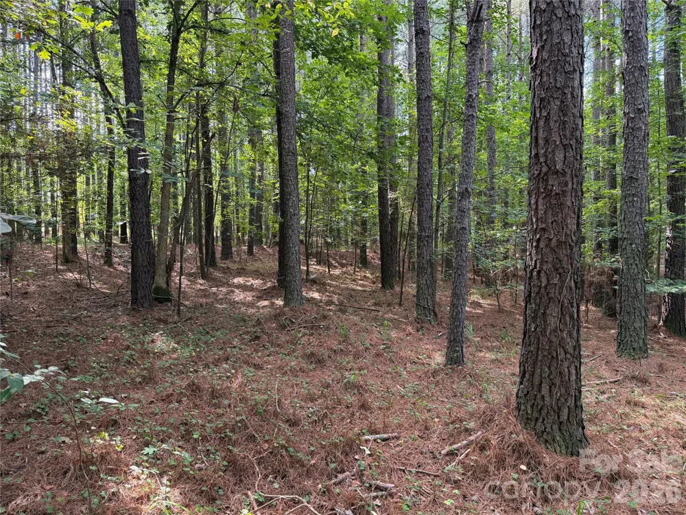 151 Whispering Pines Lane Mooresboro, NC 28114