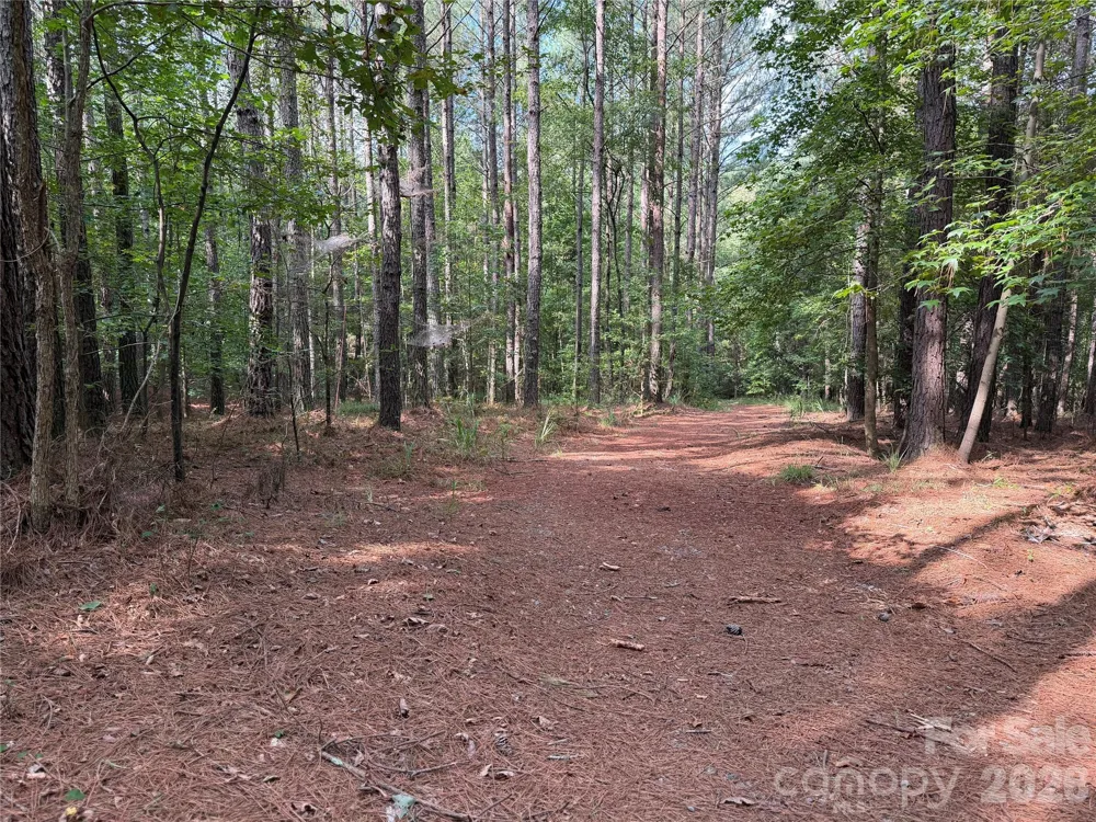 151 Whispering Pines Lane Mooresboro, NC 28114