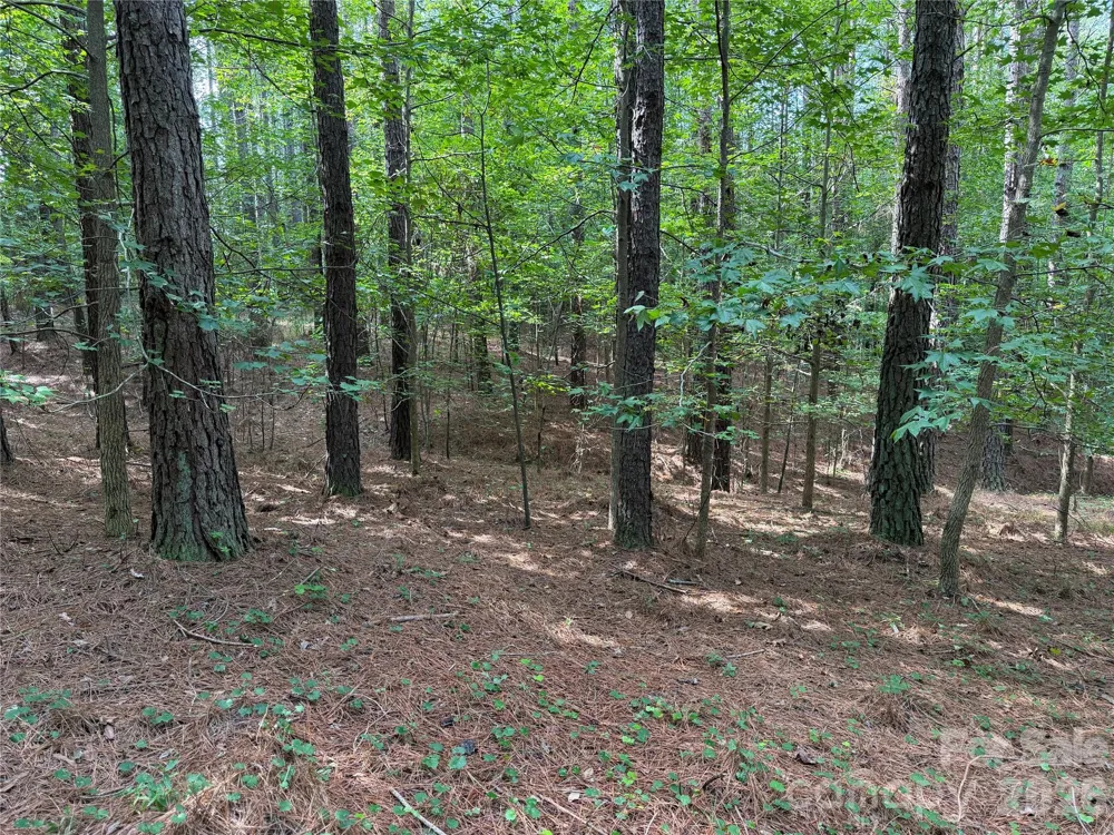 151 Whispering Pines Lane Mooresboro, NC 28114