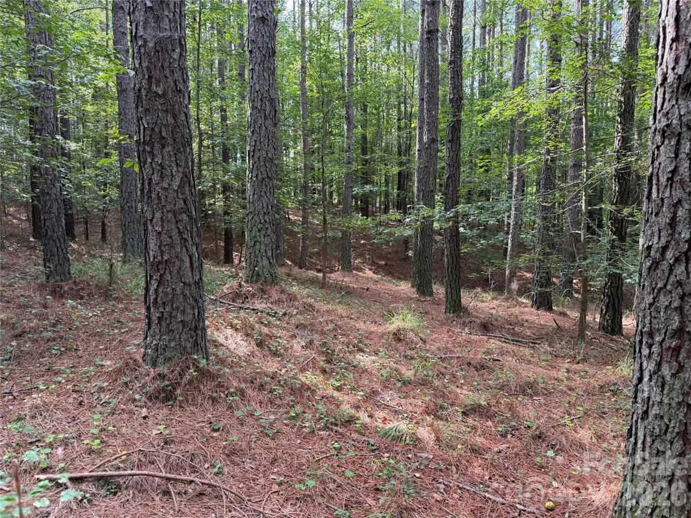 151 Whispering Pines Lane Mooresboro, NC 28114