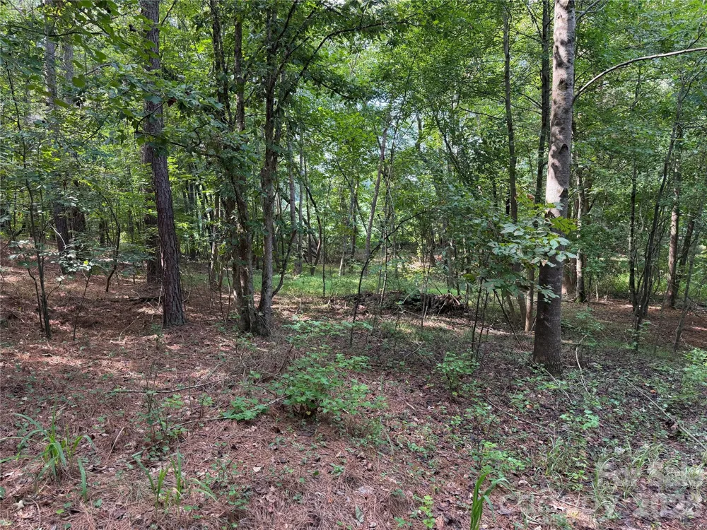 151 Whispering Pines Lane Mooresboro, NC 28114