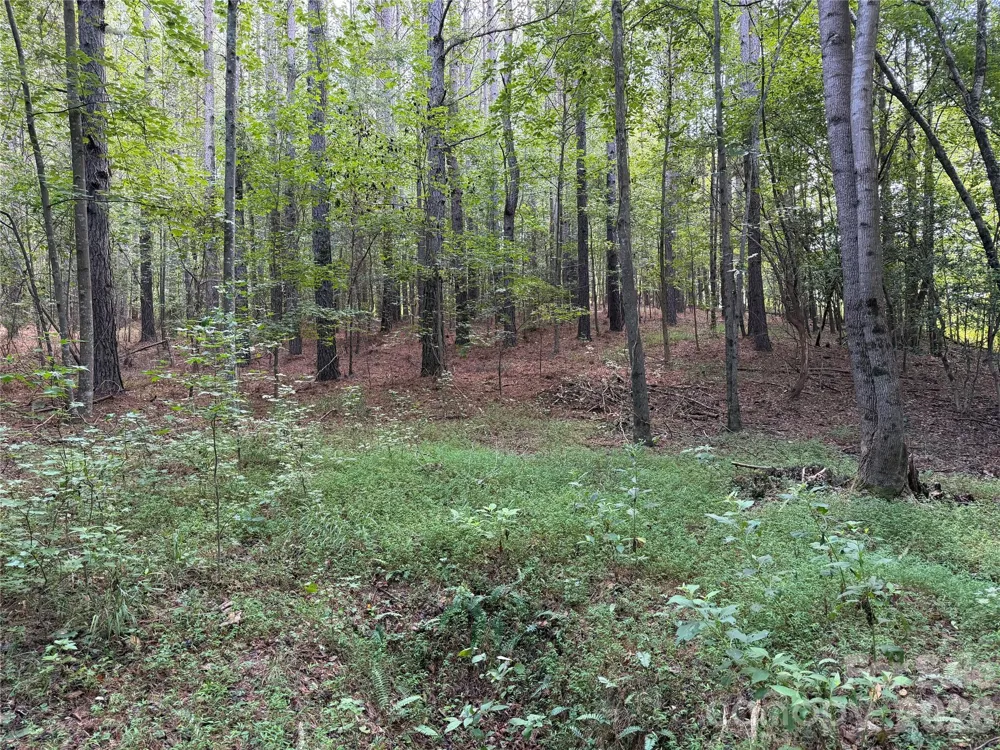 151 Whispering Pines Lane Mooresboro, NC 28114