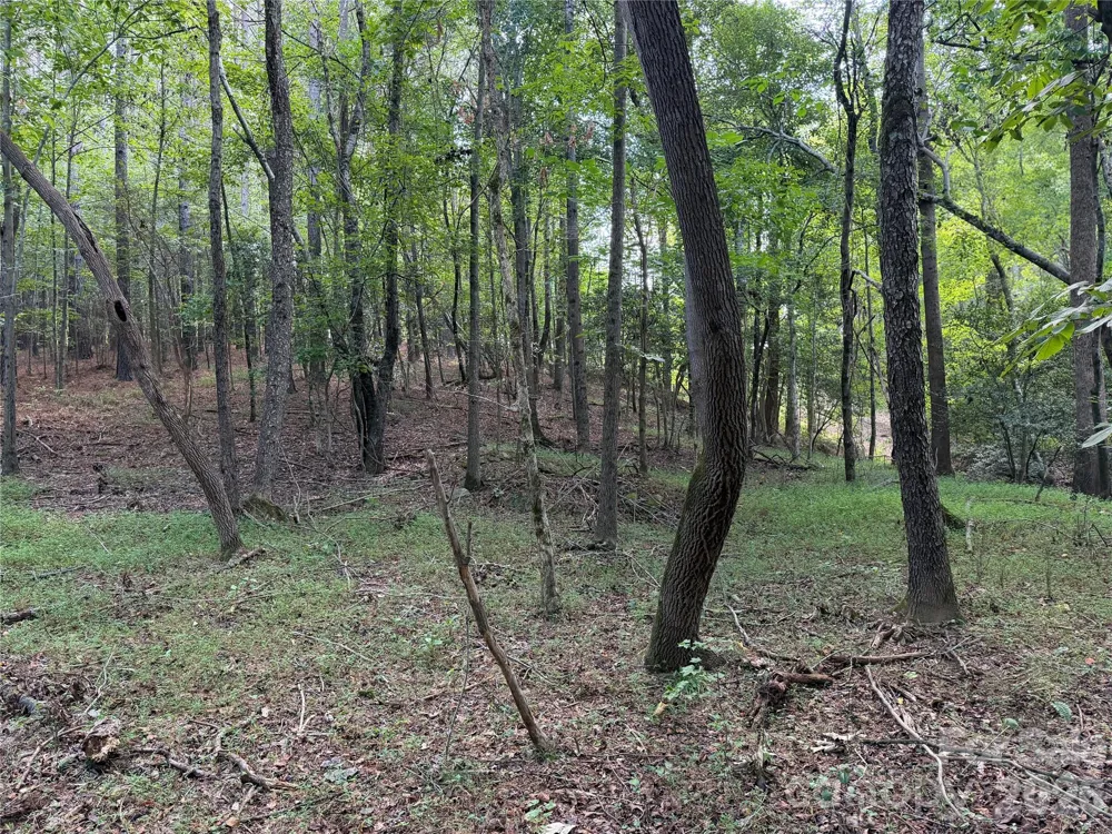 151 Whispering Pines Lane Mooresboro, NC 28114