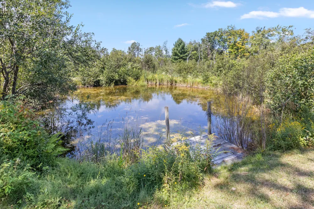 2029 E 6 Mile Road White Cloud, MI 49349