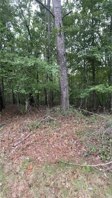 5850 Double Birch