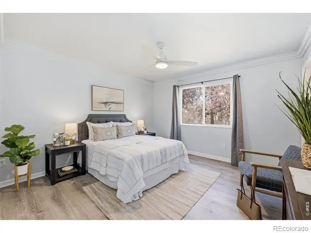 3946 Mount Oxford Street Wellington, CO 80549