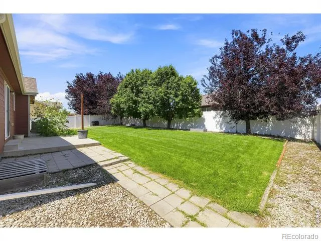 3946 Mount Oxford Street Wellington, CO 80549