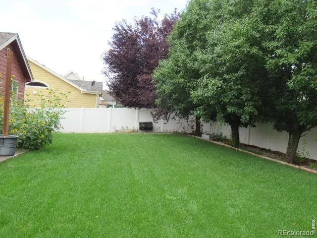 3946 Mount Oxford Street Wellington, CO 80549