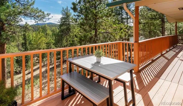 11744 S Stallion Drive Pine, CO 80470
