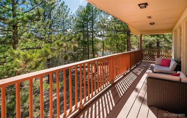 11744 S Stallion Drive Pine, CO 80470