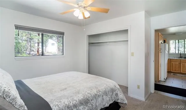 11744 S Stallion Drive Pine, CO 80470