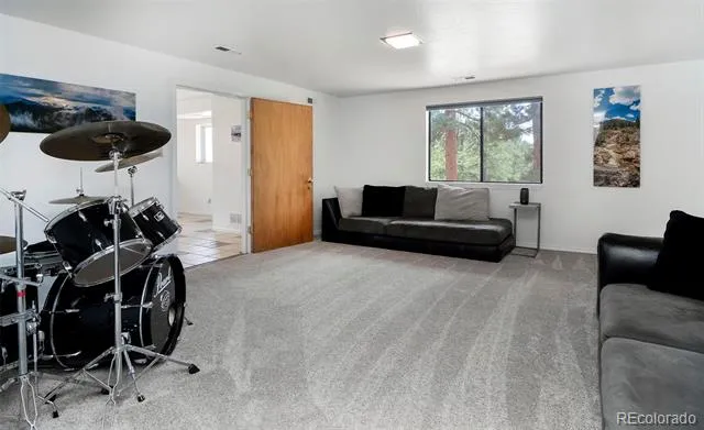11744 S Stallion Drive Pine, CO 80470