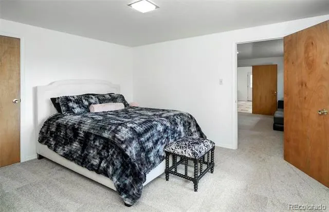 11744 S Stallion Drive Pine, CO 80470