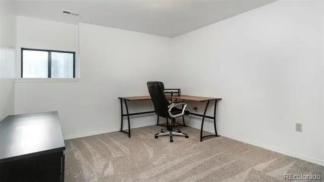 11744 S Stallion Drive Pine, CO 80470