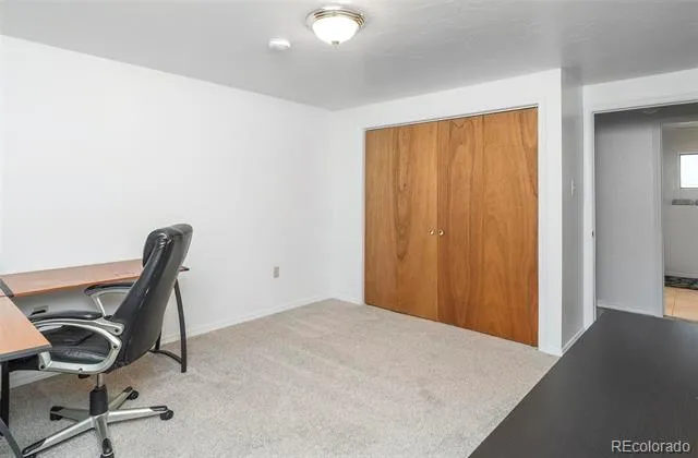 11744 S Stallion Drive Pine, CO 80470