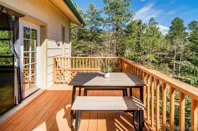 11744 S Stallion Drive Pine, CO 80470