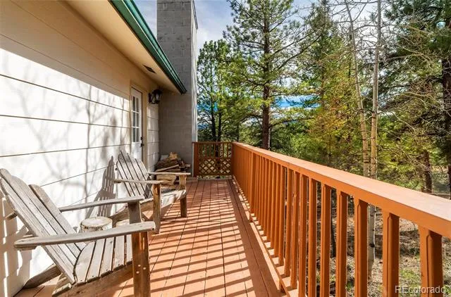 11744 S Stallion Drive Pine, CO 80470