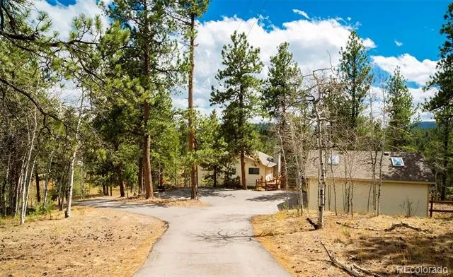 11744 S Stallion Drive Pine, CO 80470