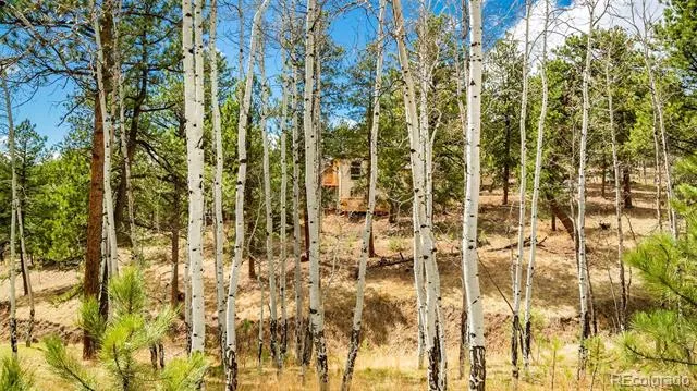 11744 S Stallion Drive Pine, CO 80470