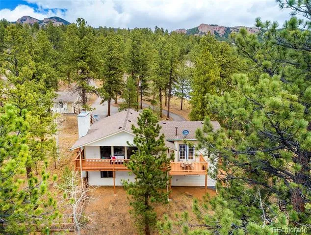 11744 S Stallion Drive Pine, CO 80470