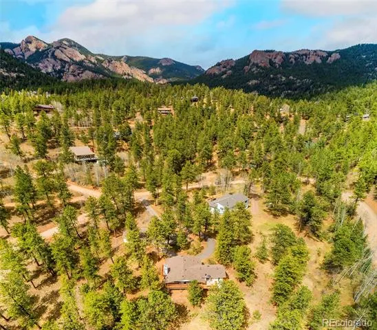 11744 S Stallion Drive Pine, CO 80470