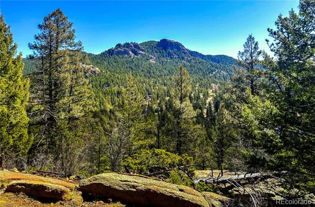 11744 S Stallion Drive Pine, CO 80470