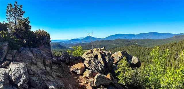 11744 S Stallion Drive Pine, CO 80470