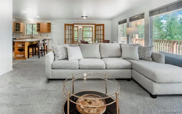 11744 S Stallion Drive Pine, CO 80470