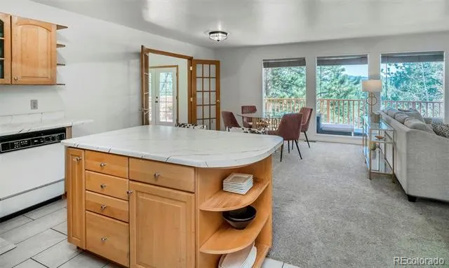 11744 S Stallion Drive Pine, CO 80470