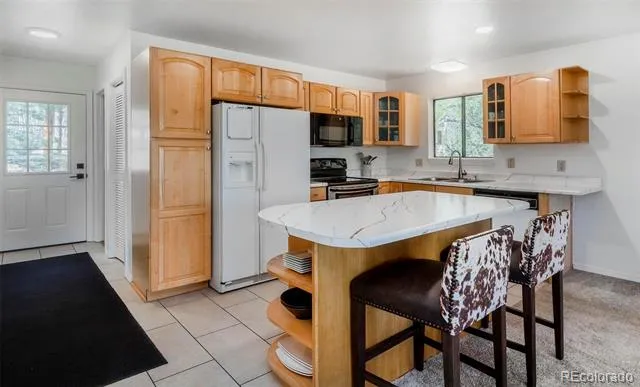 11744 S Stallion Drive Pine, CO 80470