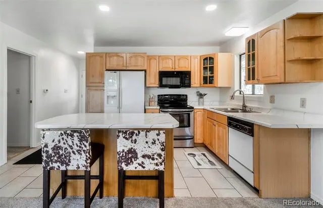 11744 S Stallion Drive Pine, CO 80470