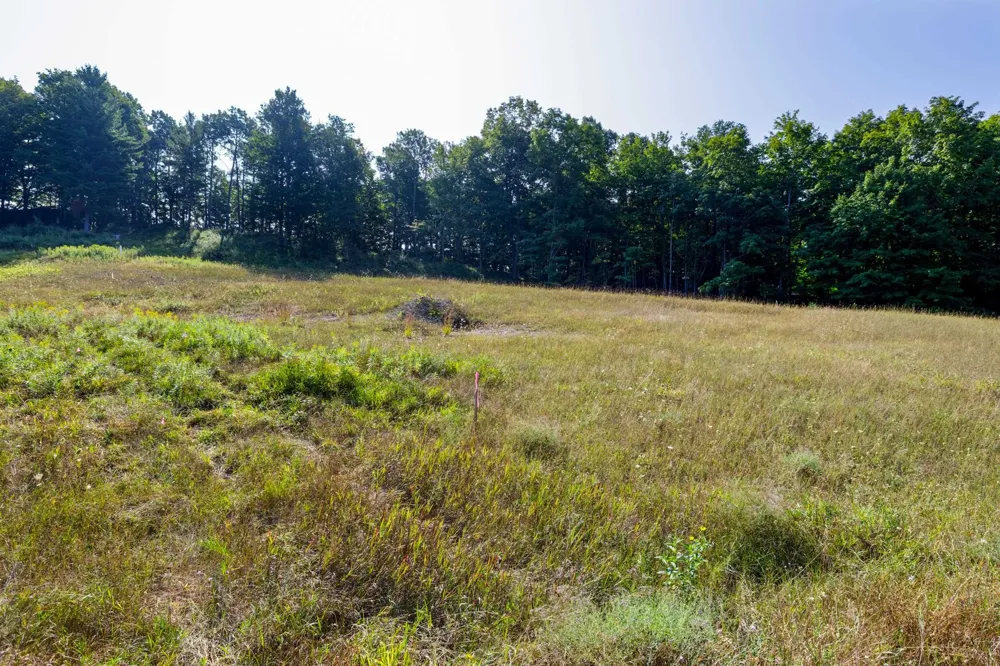 Amarelle Lane Benzonia Township, MI 49617