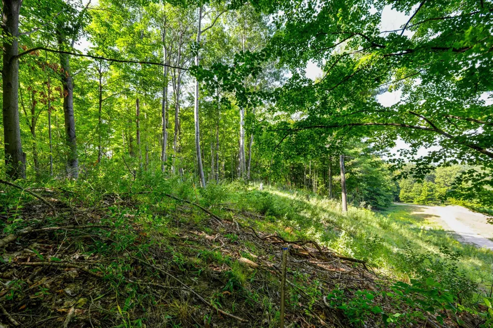 Amarelle Lane Benzonia Township, MI 49617