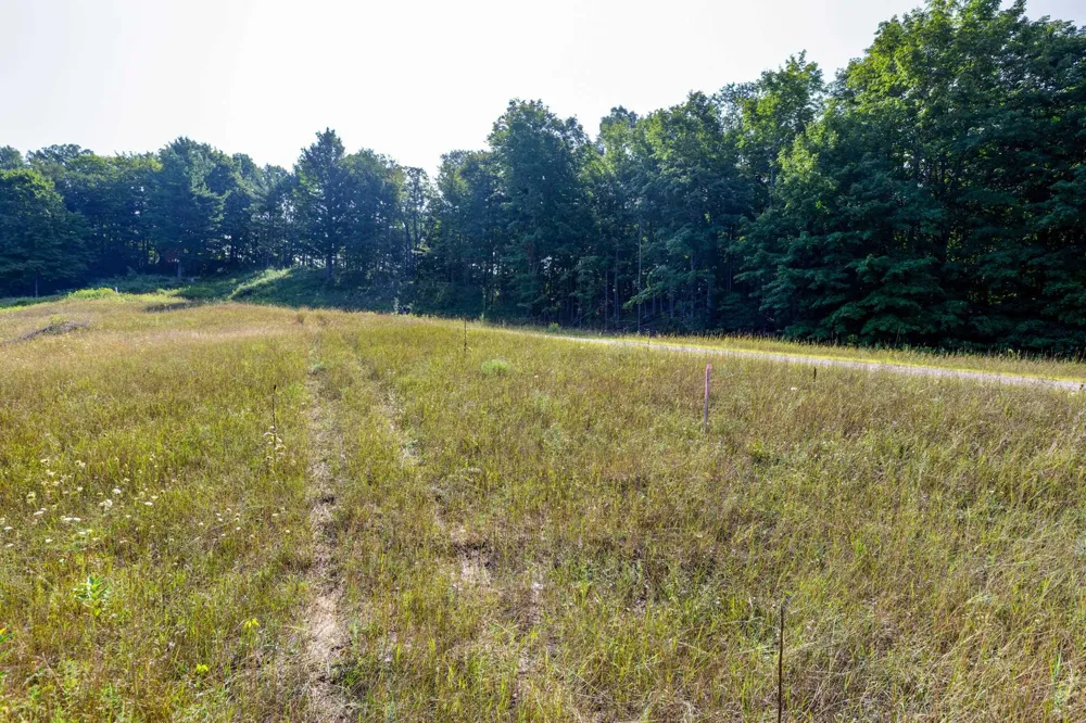 Amarelle Lane Benzonia Township, MI 49617
