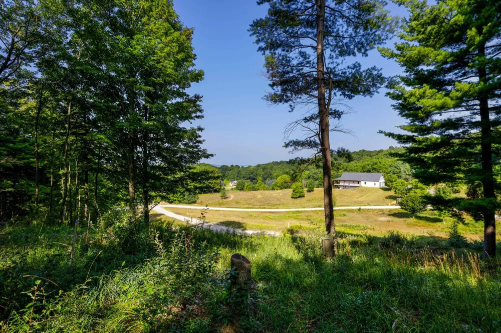 Amarelle Lane Benzonia Township, MI 49617