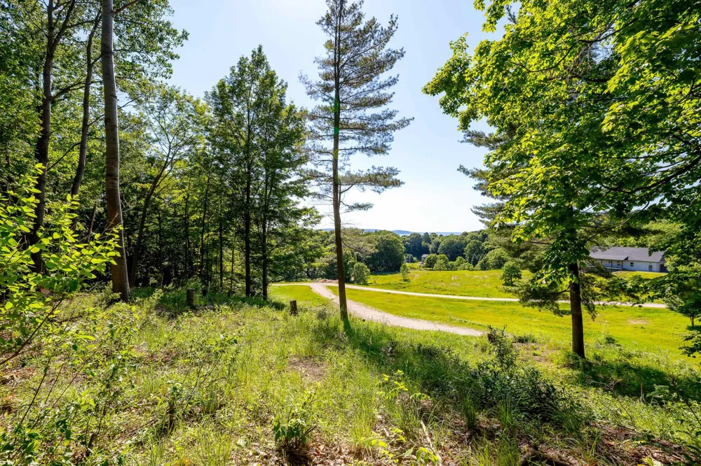 Amarelle Lane Benzonia Township, MI 49617