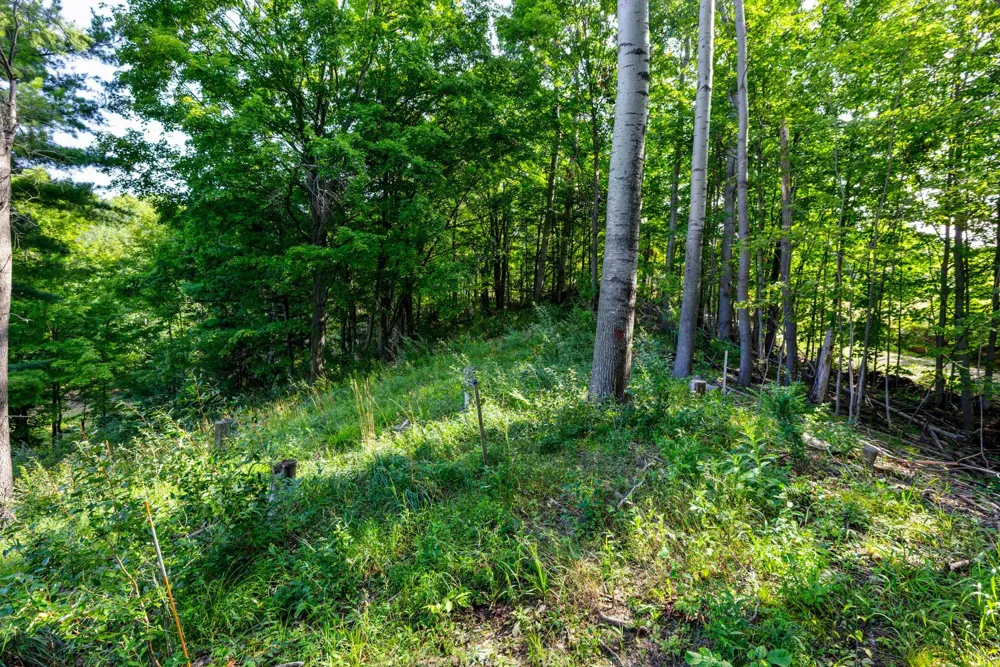 Amarelle Lane Benzonia Township, MI 49617