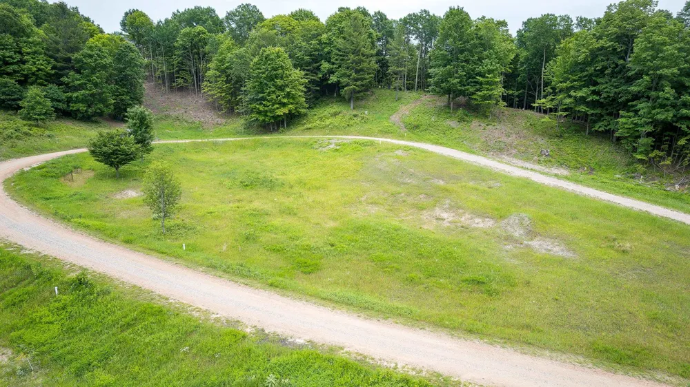 Amarelle Lane Benzonia Township, MI 49617