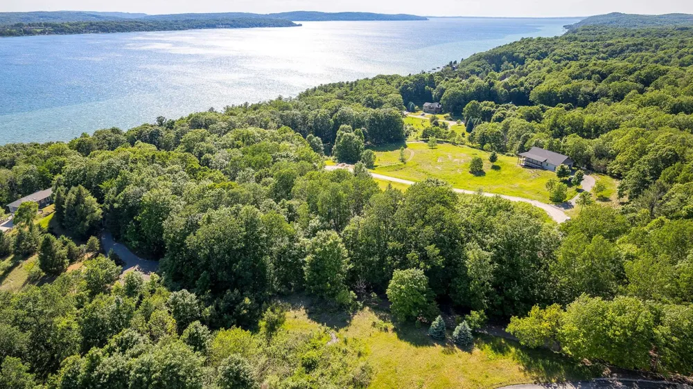 Amarelle Lane Benzonia Township, MI 49617