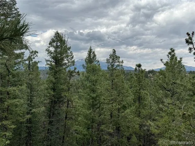 11491 Chinook Drive Weston, CO 81091