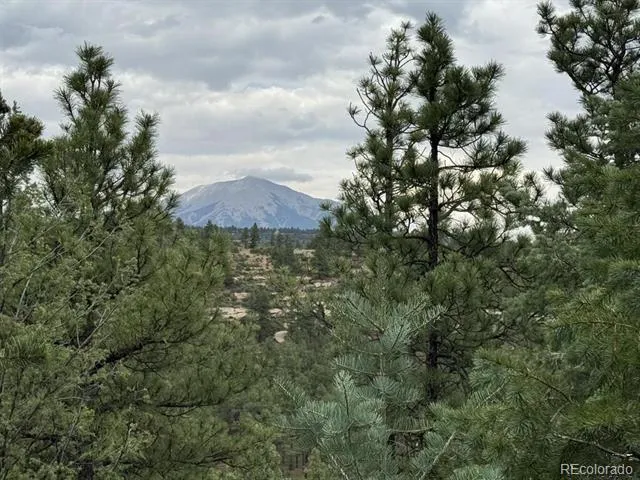 11491 Chinook Drive Weston, CO 81091