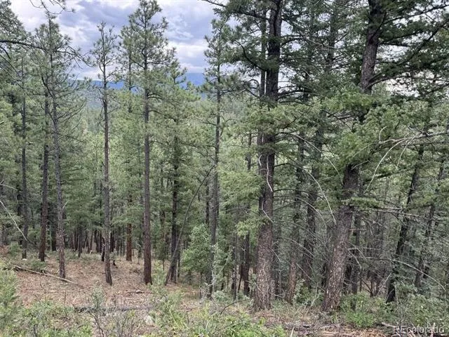 11491 Chinook Drive Weston, CO 81091